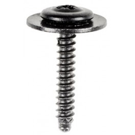 GM Sems Tapping Screw 11609762 10/pk, A241