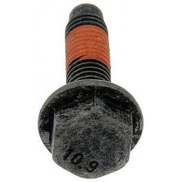 Exhaust Manifold Bolt, GM 11547135 (F013)