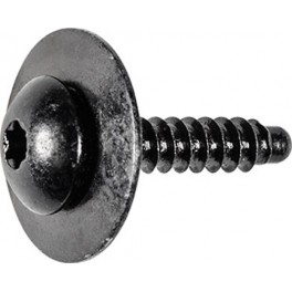 Torx Pan Head Screw, GM 11570637, (A136)